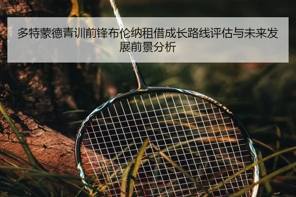 多特蒙德青训前锋布伦纳租借成长路线评估与未来发展前景分析